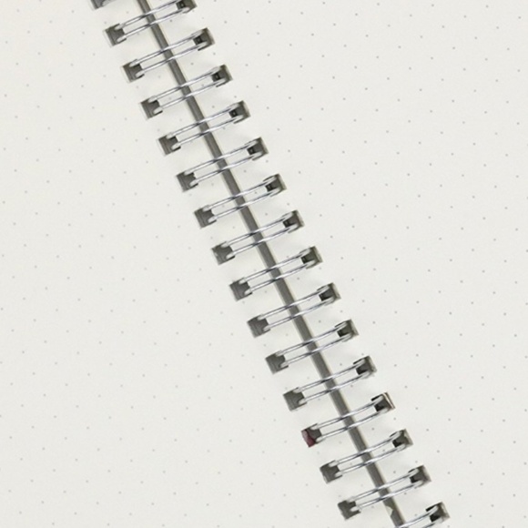 A5 TRANSPARENT HARDCOVER 3 NOTEBOOKS(DOT GRID) - Picture 2 of 5